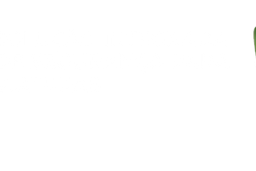 Serviços Especializados